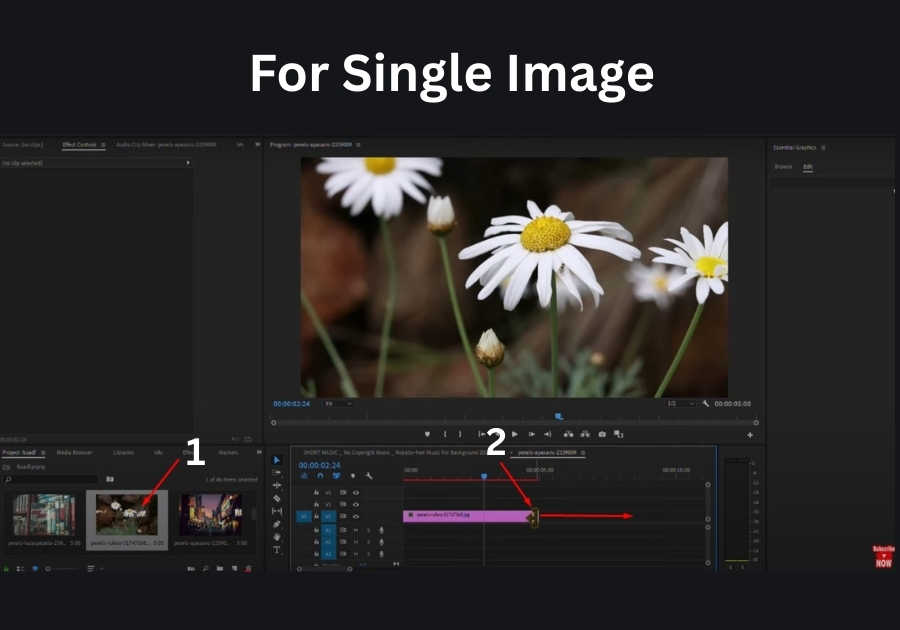 single image