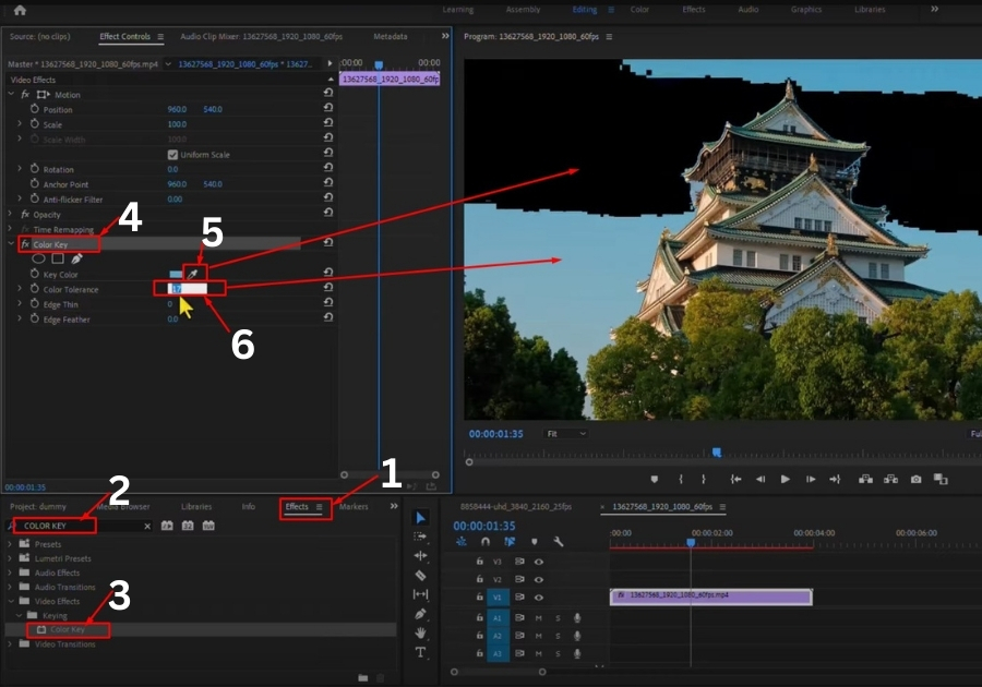 REMOVE The BACKGROUND From VIDEO in Premiere Pro