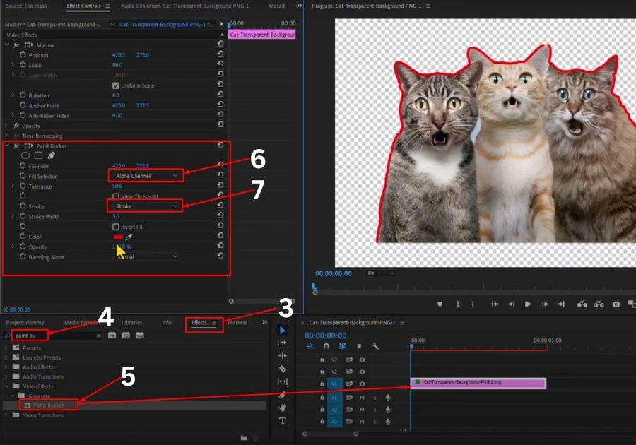Give Stroke to an Image in Premiere Pro 1