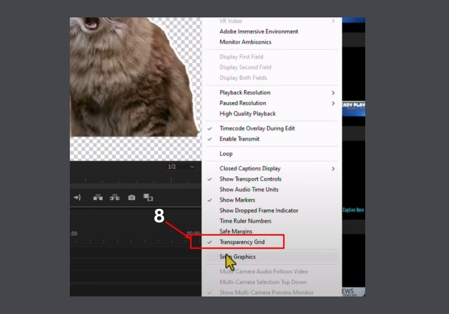 Give Stroke to an Image in Premiere Pro 2