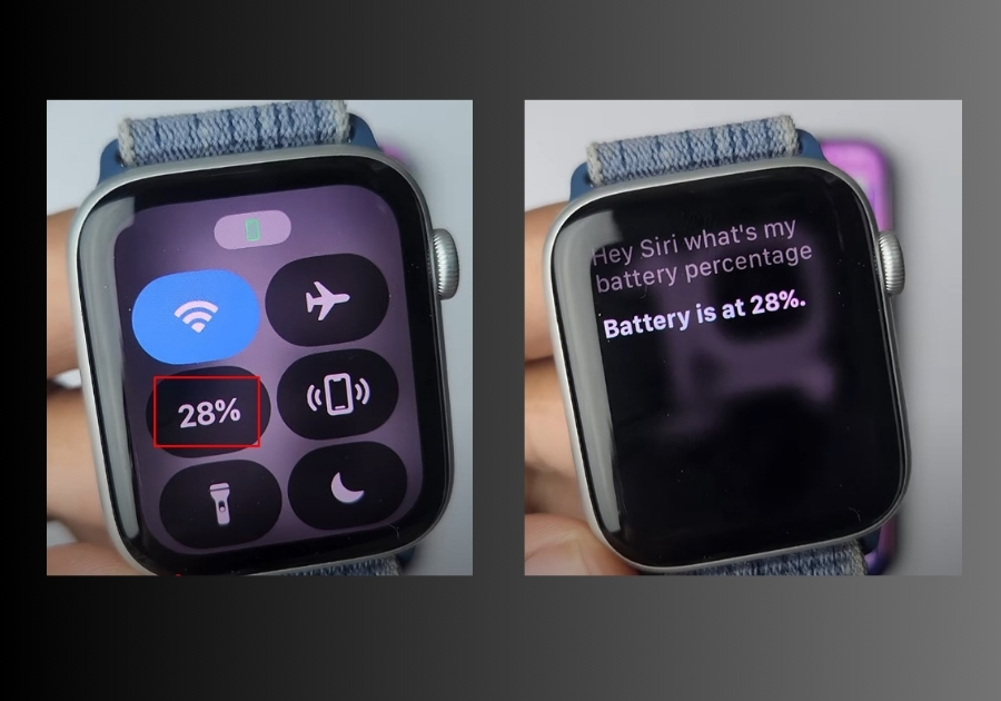 Check Apple Watch Battery Percentage
