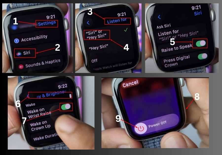 Fix Your Apple Watch Raise to Speak Issue