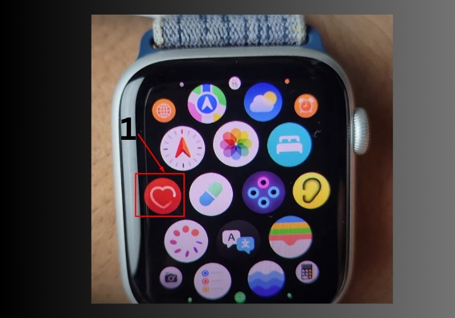 The Usual Way: Using the Heart Rate App