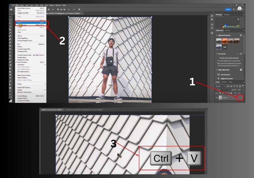 Method 1: Copy and Paste an Entire Image