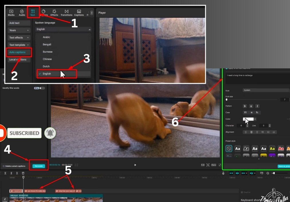 Easy Guide to Add Subtitles to Video in CapCut