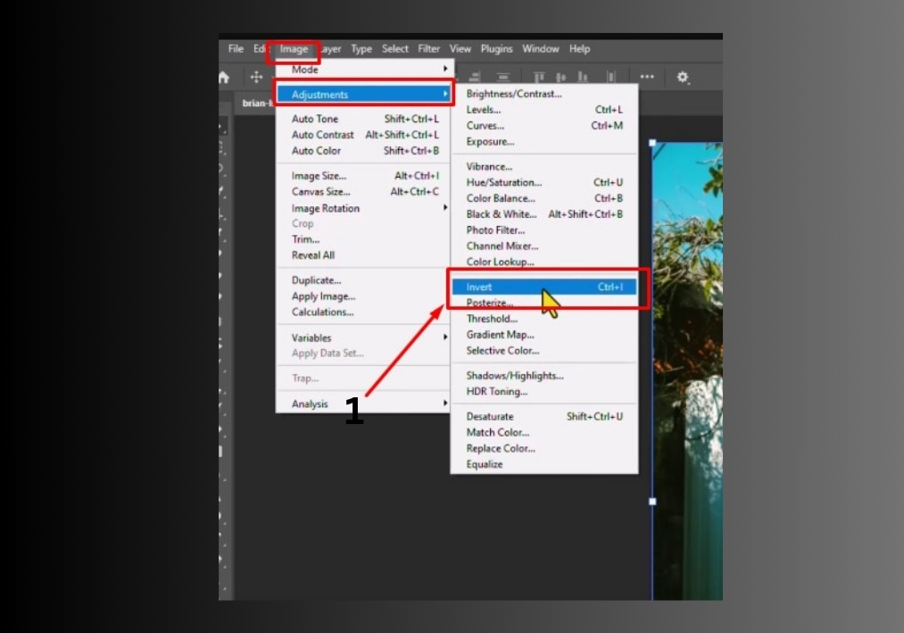 Step-by-Step Guide to Invert Your Image