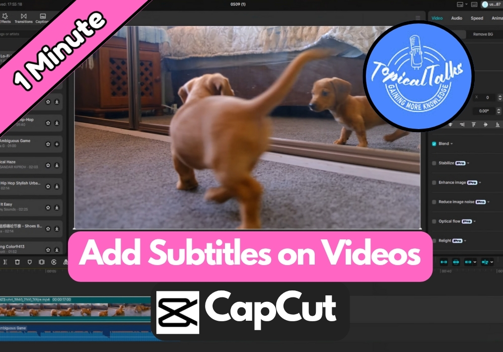 How To Add Subtitles In CapCut?