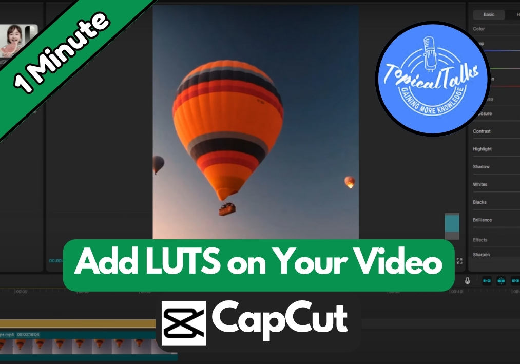 How to Add LUTS In CapCut PC?